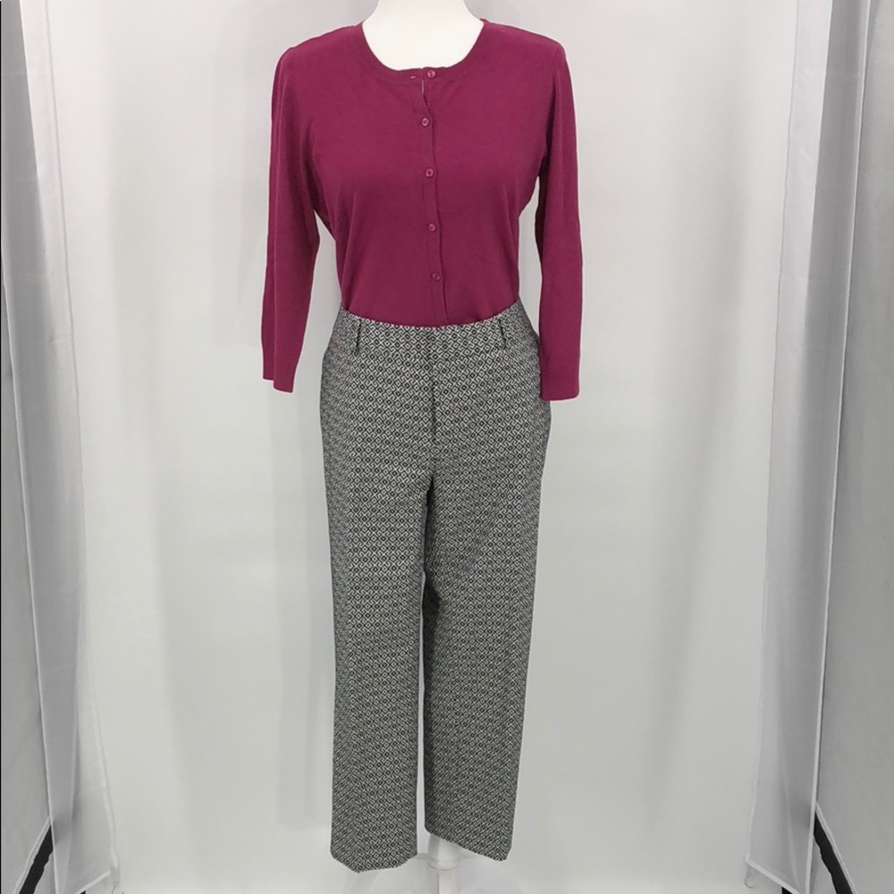 Banana Republic Hampton Fit Pant Size 12P
